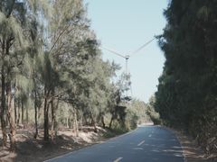 -长江澳风力发电景观区