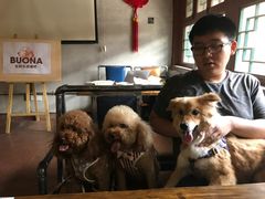 -百好乐宠物友好餐厅(朝外大街店)