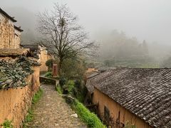 -杨家堂村