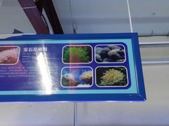 -御唐府海珊瑚主题餐厅