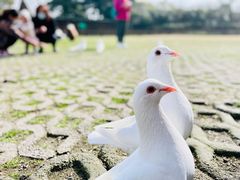 -上海野生动物园