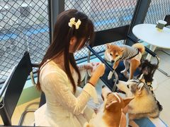 -怪兽屋·羊驼·猫咖·狗咖(俊华广场店)