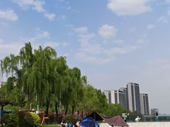 -洨河生态公园