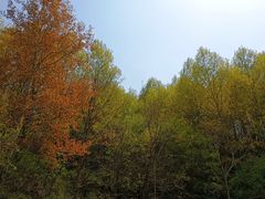 -玉渡山自然风景区