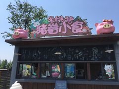 -田园东方蜜桃村的田野营地