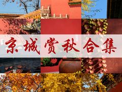 -沉浸北京·团建旅行·密室剧本杀·年会会议轰趴拓展
