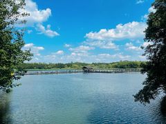 -溱湖国家湿地公园