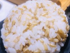燕麦饭-新仙清汤牛腩(铜锣湾店)