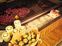 -春晖园度假酒店温泉