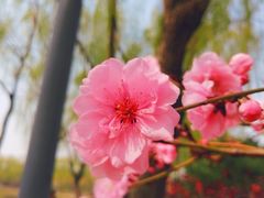 -大兴滨河森林公园