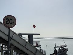 -贡湖湾湿地公园