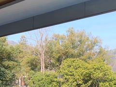 -杭州花家山庄