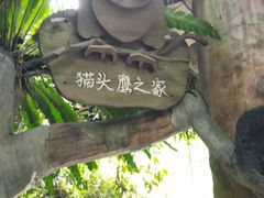 -青青世界
