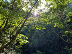-大岭沟猕猴桃谷风景区
