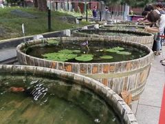 -中山公园音乐堂