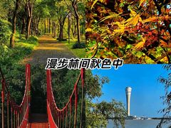 -上海吴淞炮台湾国家湿地公园