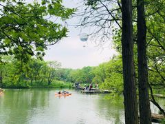 -西溪国家湿地公园