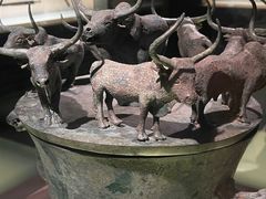 -上海博物馆(人民广场馆)