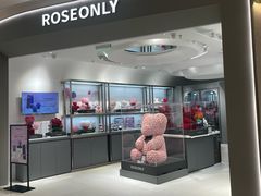 -ROSEONLY诺誓(广州K11店)