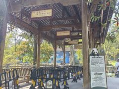 -中国大熊猫保护研究中心雅安碧峰峡基地