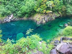 -叠溪松坪沟景区