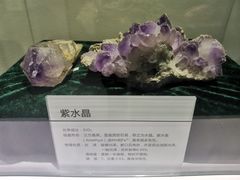 -中国第四纪冰川遗迹陈列馆