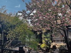 -惠山古镇·寄畅园