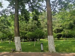 -棒棰岛宾馆景区