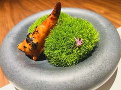 -觀芷隐轩