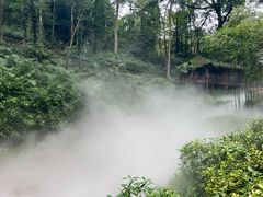 -青城山