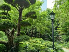 -中山公园