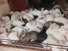 -汝萍传统蘸水菜(春华路总店)