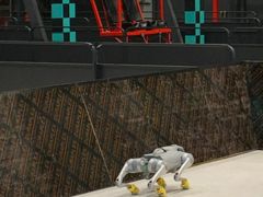 -极限PLAY运动娱乐新世界·团建派对表演休闲馆·室内高空游乐园