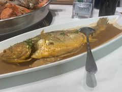 -大锅强·蒸海鲜青岛菜(吾悦广场店)