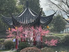 -杭州西湖柳莺里酒店