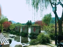 -香雪海
