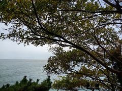 -青岛海滨风景区小青岛
