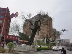 -顺溜·手工刀削面·黑金店(铜锣湾店)