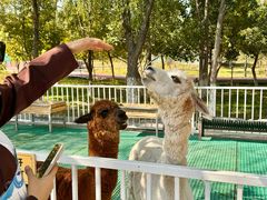 -水上乐园·欢乐世界