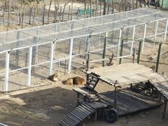 -青藏高原野生动物园
