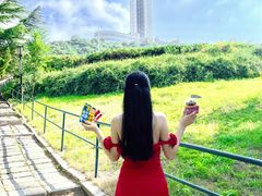 -富斯特索道