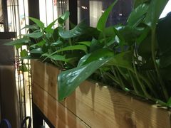 大堂-潮堂(环球金融中心店)