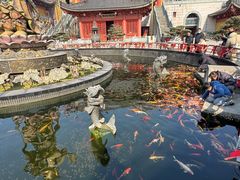 -上海东林寺(金山区)