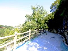 -少华山国家森林公园