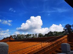 -深圳仙湖植物园