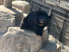 -石家庄市动物园