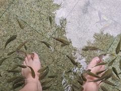 -罗浮山嘉宝田森林温泉度假酒店