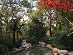 -天目湖涵田半山温泉