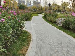 -西海子公园