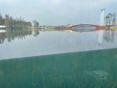 -星巴克(成都科学城店)